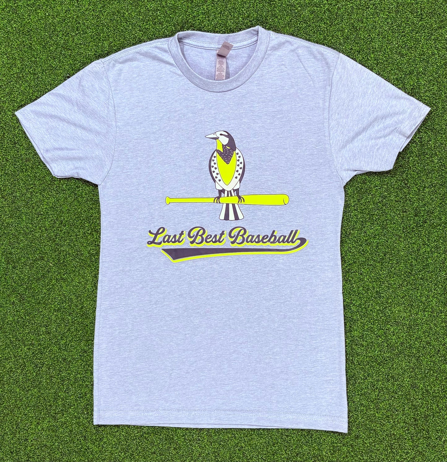Adult Meadowlark