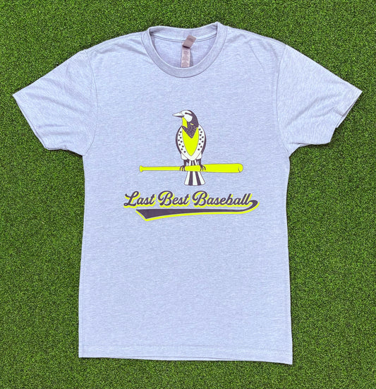 Adult Meadowlark